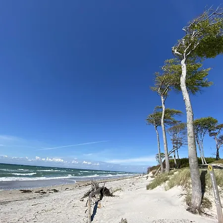 Haus Zur - 1 - Gruzdz *